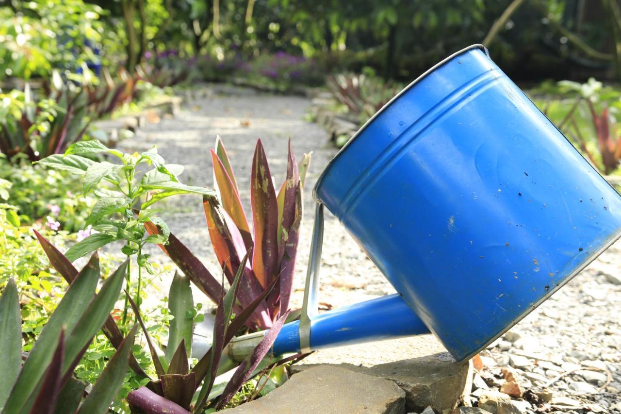 Homestay Vuon Trai Cay Nhiet Doi Vo Uu Garden Bao Loc Exterior foto