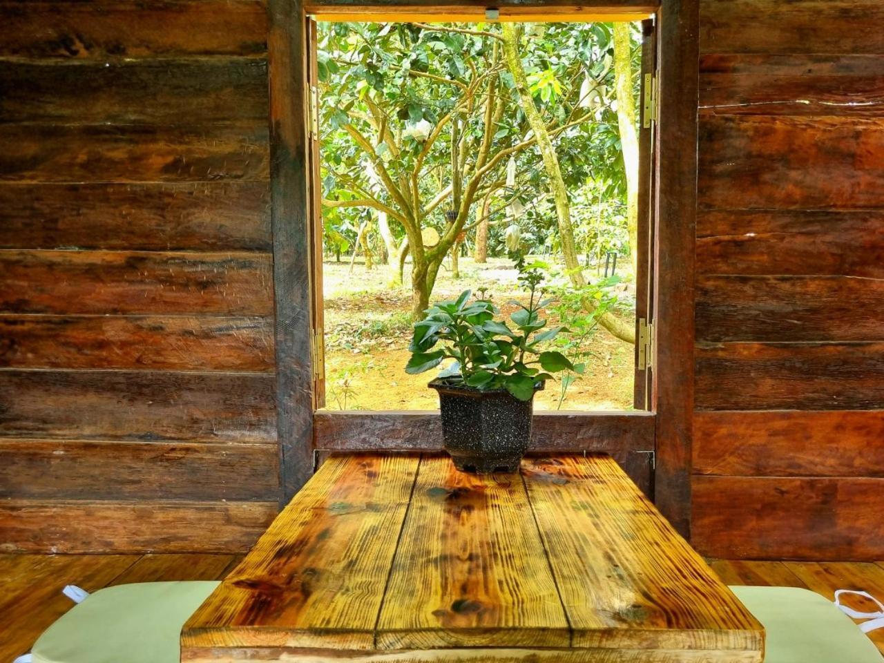 Homestay Vuon Trai Cay Nhiet Doi Vo Uu Garden Bao Loc Exterior foto