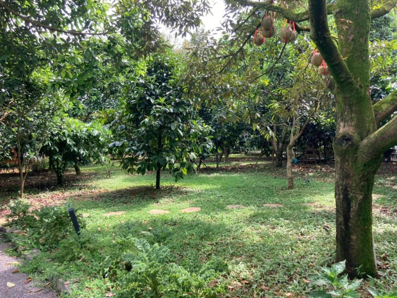 Homestay Vuon Trai Cay Nhiet Doi Vo Uu Garden Bao Loc Exterior foto
