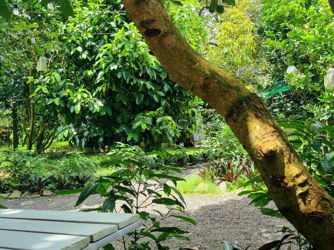 Homestay Vuon Trai Cay Nhiet Doi Vo Uu Garden Bao Loc Exterior foto