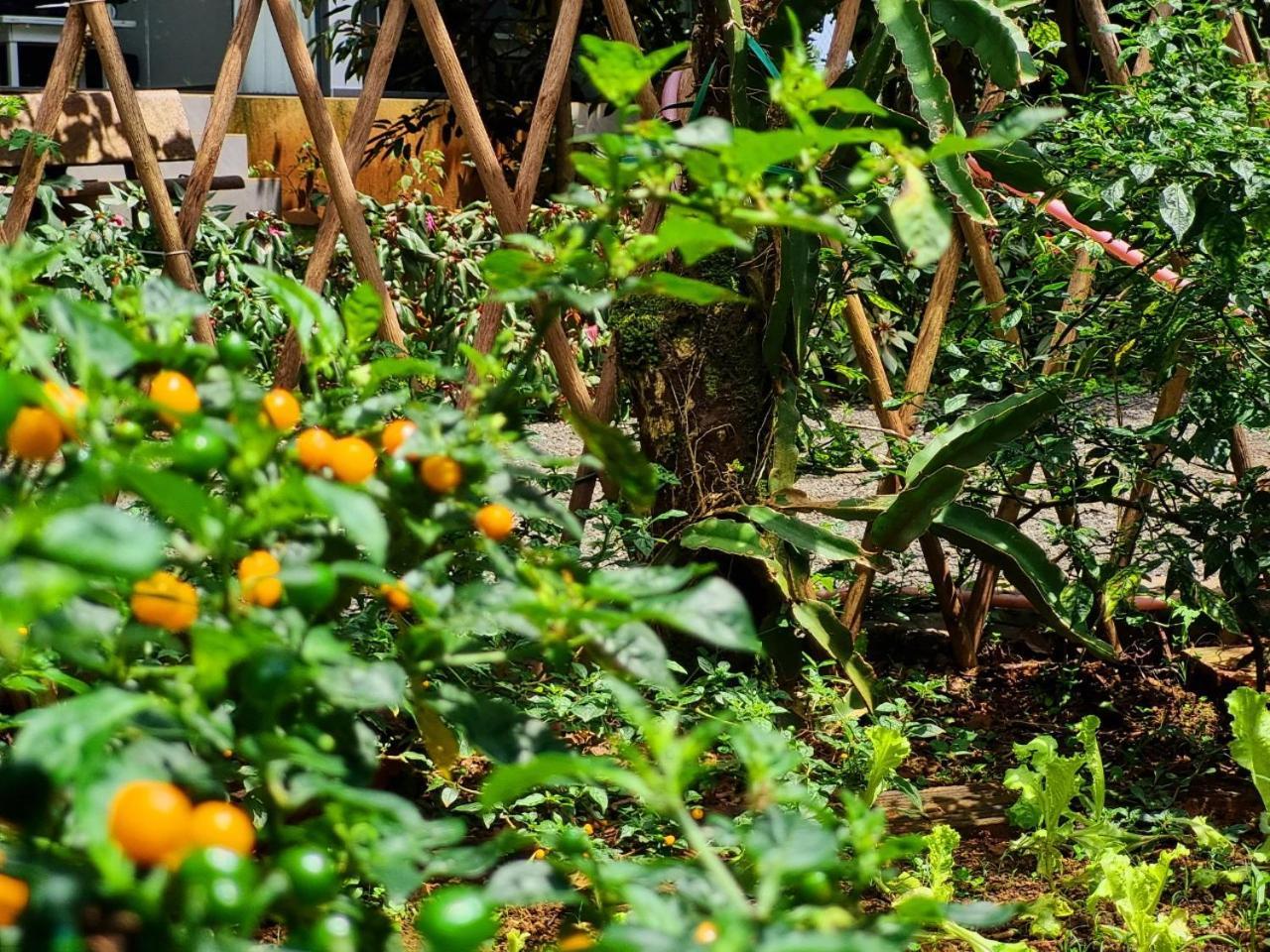 Homestay Vuon Trai Cay Nhiet Doi Vo Uu Garden Bao Loc Exterior foto